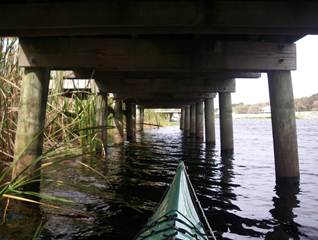 IMGP0845
