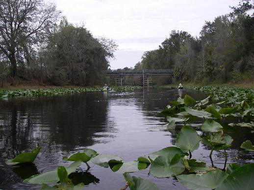 IMGP0878