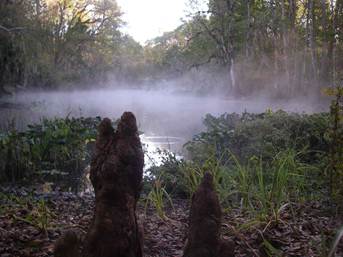 image041