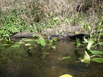 image044