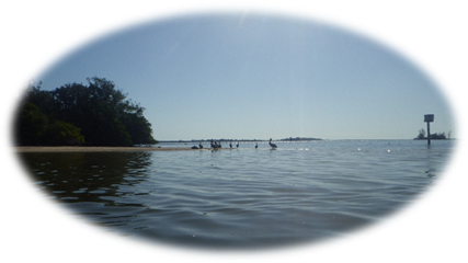 A group of people on a beach

Description automatically generated