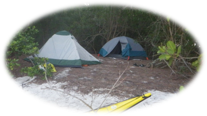 Two tents in the woods

Description automatically generated