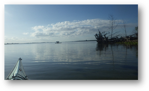 A body of water with a tree in the middle

Description automatically generated
