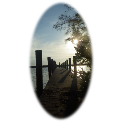 A path with a bridge over water

Description automatically generated with medium confidence
