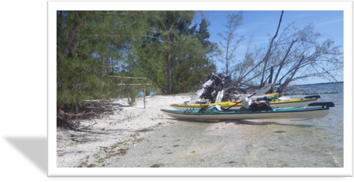 A kayak on the beach

Description automatically generated