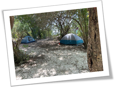 Tents in a forest with trees

Description automatically generated