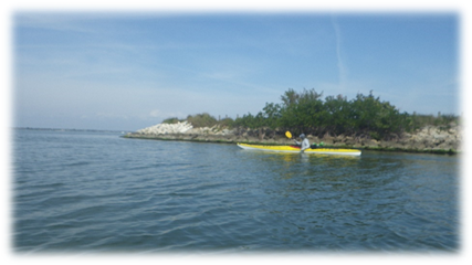 A person in a yellow canoe on the water

Description automatically generated
