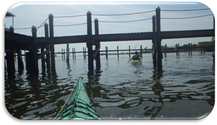 A kayak in the water

Description automatically generated