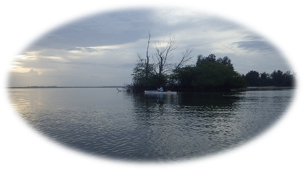 A body of water with trees and a boat

Description automatically generated