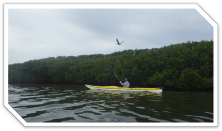 A person in a kayak on the water

Description automatically generated
