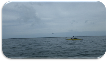 A person in a boat in the water

Description automatically generated