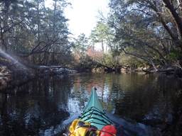 A picture containing tree, outdoor, water, river

Description automatically generated