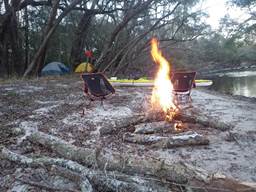 A picture containing tree, outdoor, nature, fire

Description automatically generated