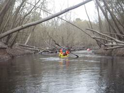A group of people in a row boat on a river

Description automatically generated with low confidence