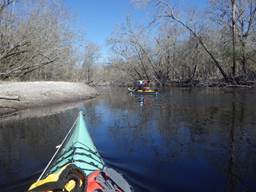 A picture containing tree, outdoor, water, boat

Description automatically generated