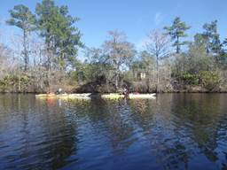 A body of water with trees around it

Description automatically generated