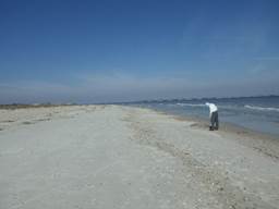 A person holding an umbrella on a beach

Description automatically generated with medium confidence